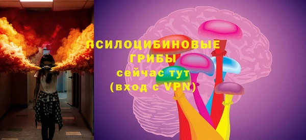 герыч Новодвинск