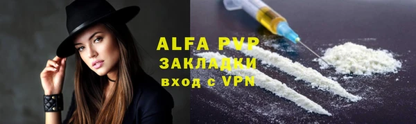 apvp Инта