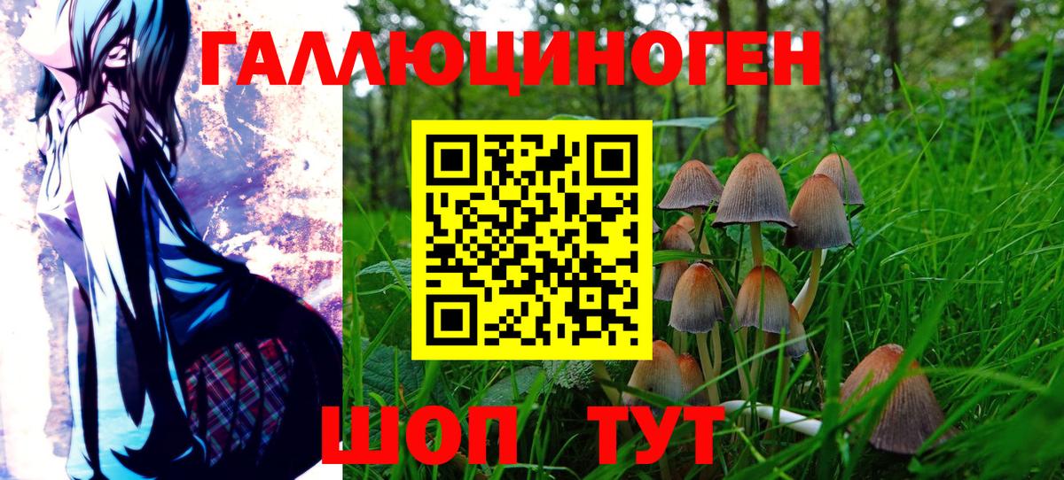 Псилоцибиновые грибы Cubensis Карасук