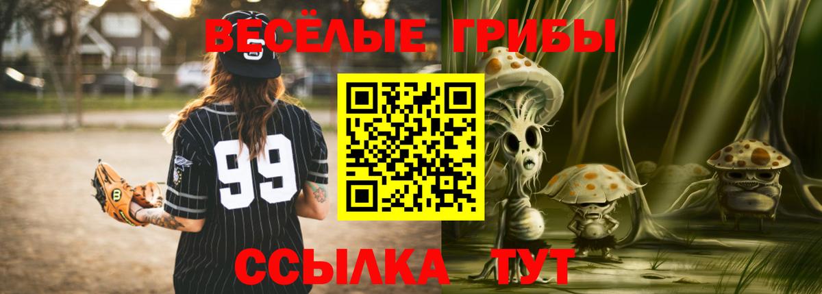 Псилоцибиновые грибы Magic Shrooms  Галлюциногенные грибы прущие грибы  Вход с VPN  Карасук 
